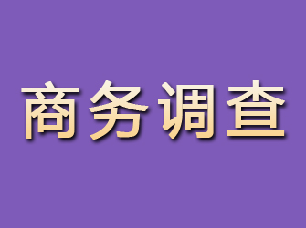 格尔木商务调查